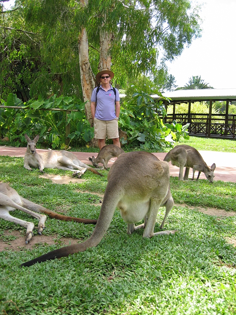 064 Rainforestation.jpg